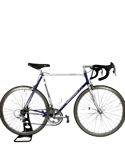1991 Gazelle Champion Mondial Special 58cm Campagnolo