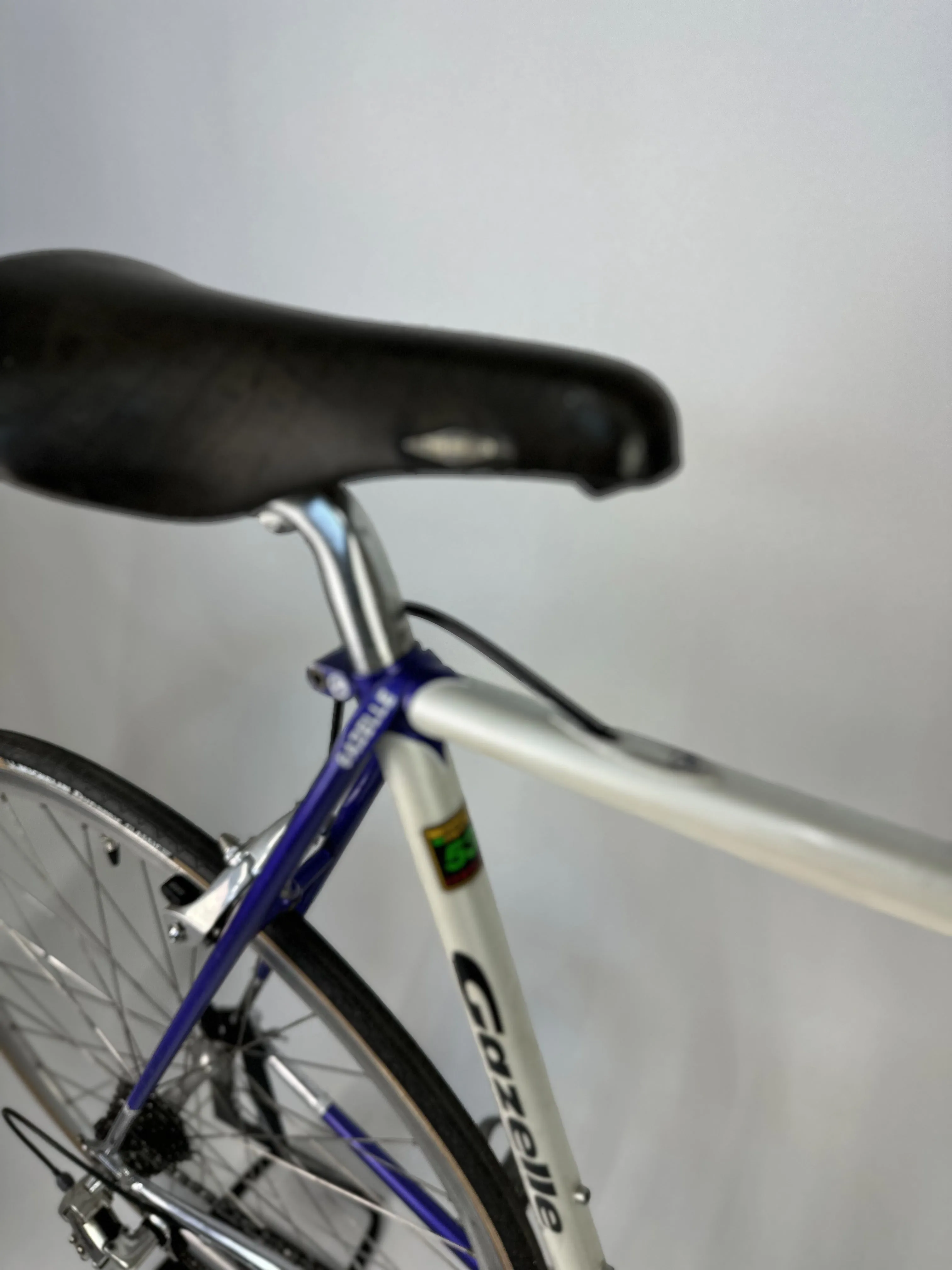 1991 Gazelle Champion Mondial Special 58cm Campagnolo
