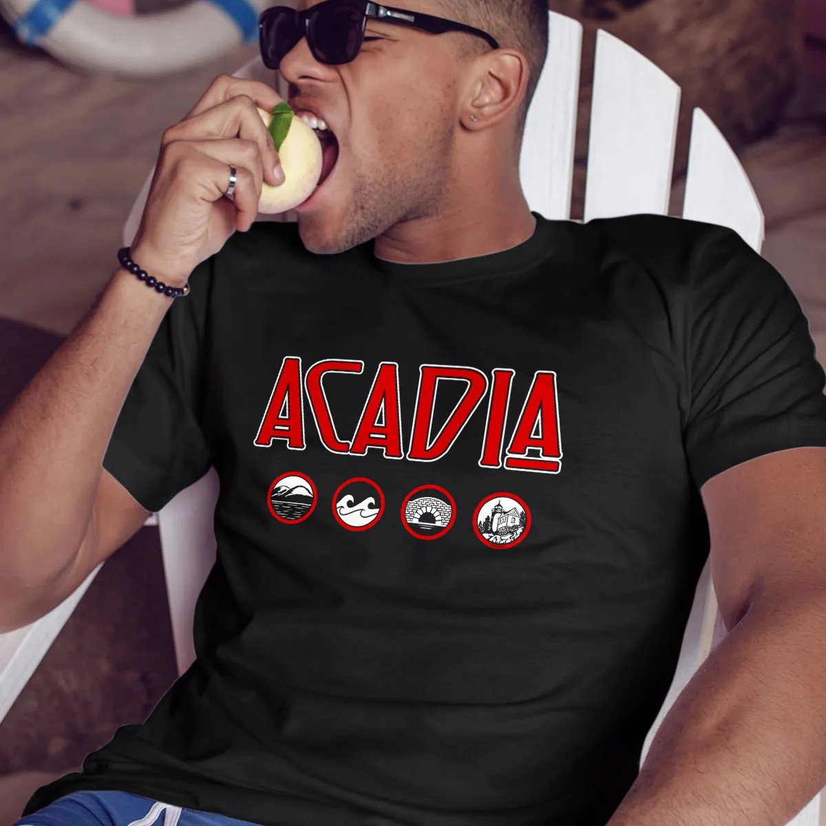 Acadia Maine Zeppelin Style Black T-Shirt, 100% Cotton, S-XXL, Unisex Vacationland Unique Tshirts