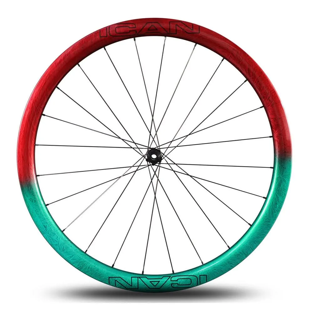 AERO 40 Disc Art Painting