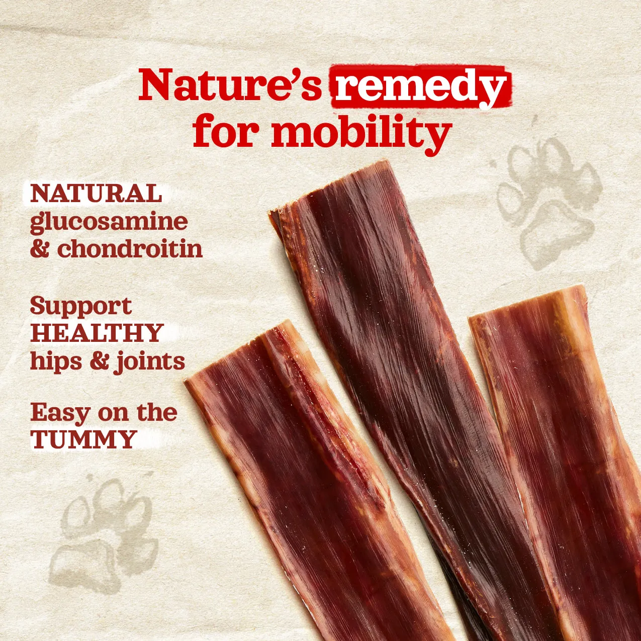 Beef Jerky Treats for Dogs