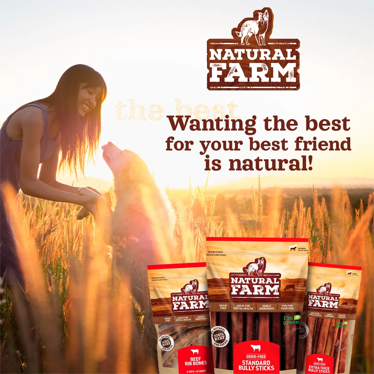 Beef Jerky Treats for Dogs