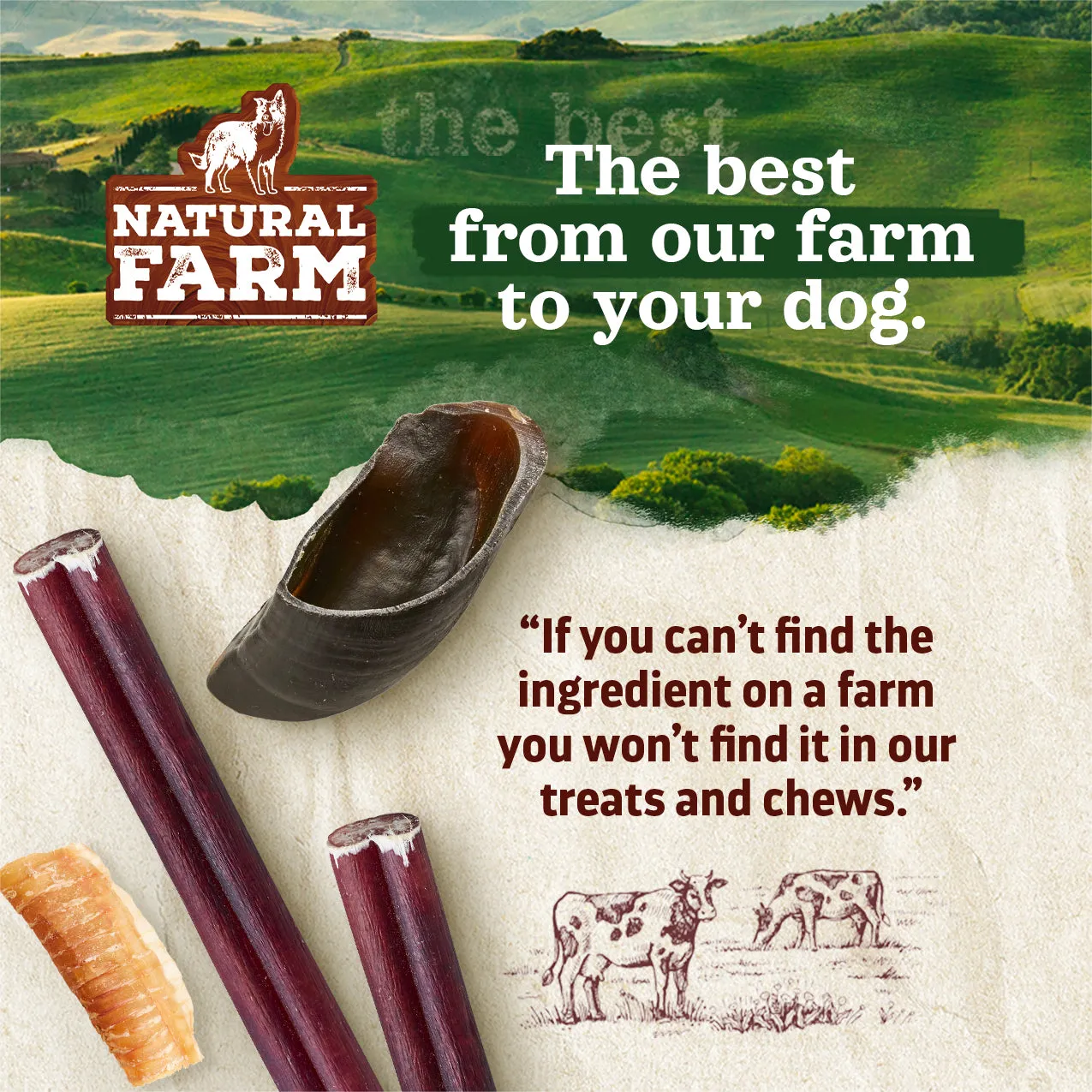 Beef Jerky Treats for Dogs