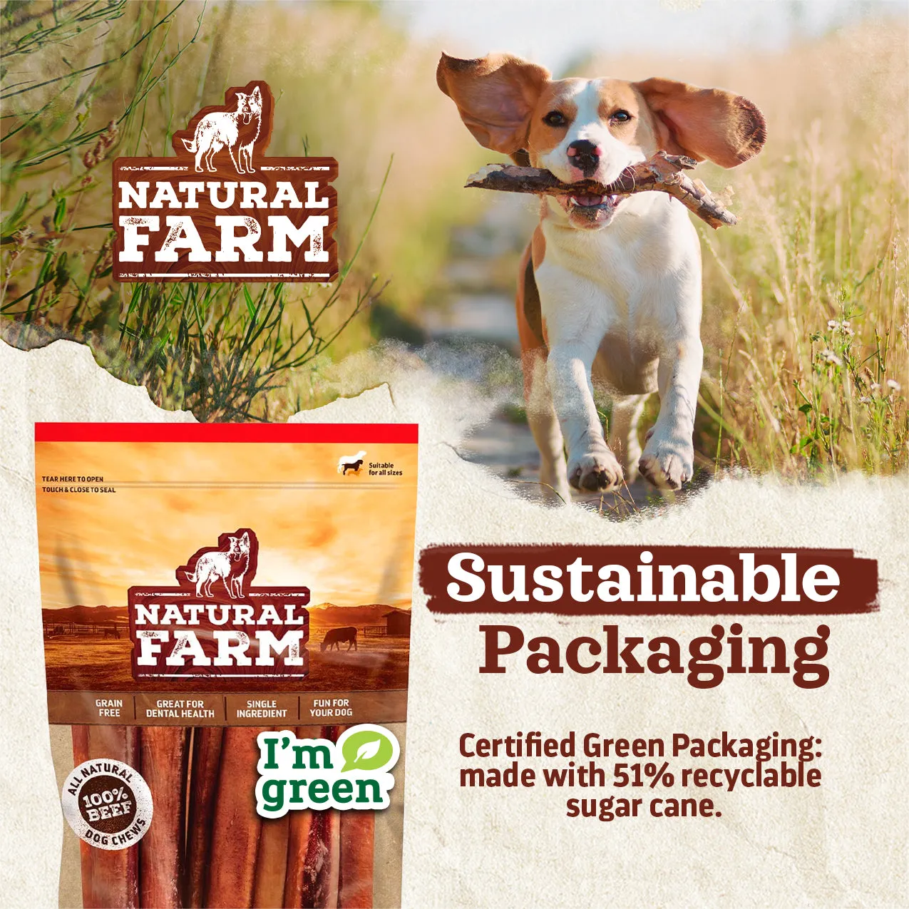 Beef Jerky Treats for Dogs