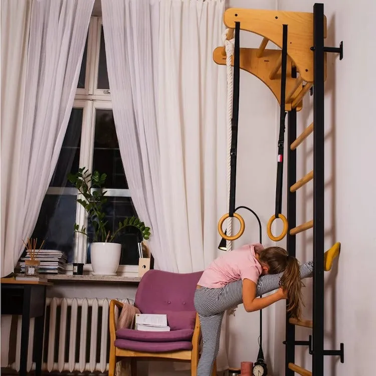 BenchK Series 2 211   A076 Swedish Ladder for Kids With Gymnastic Accessories