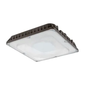 CDLX 30W/40W/60W/80W LED Canopy Light, 5000K