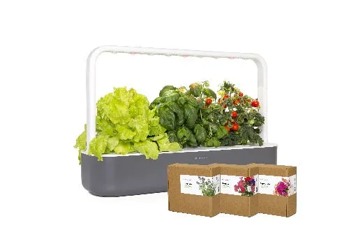 Click & Grow The Blooming Flower Kit