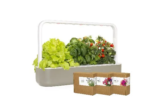 Click & Grow The Blooming Flower Kit