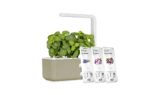 Click & Grow The Blooming Flower Kit