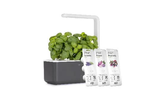 Click & Grow The Blooming Flower Kit