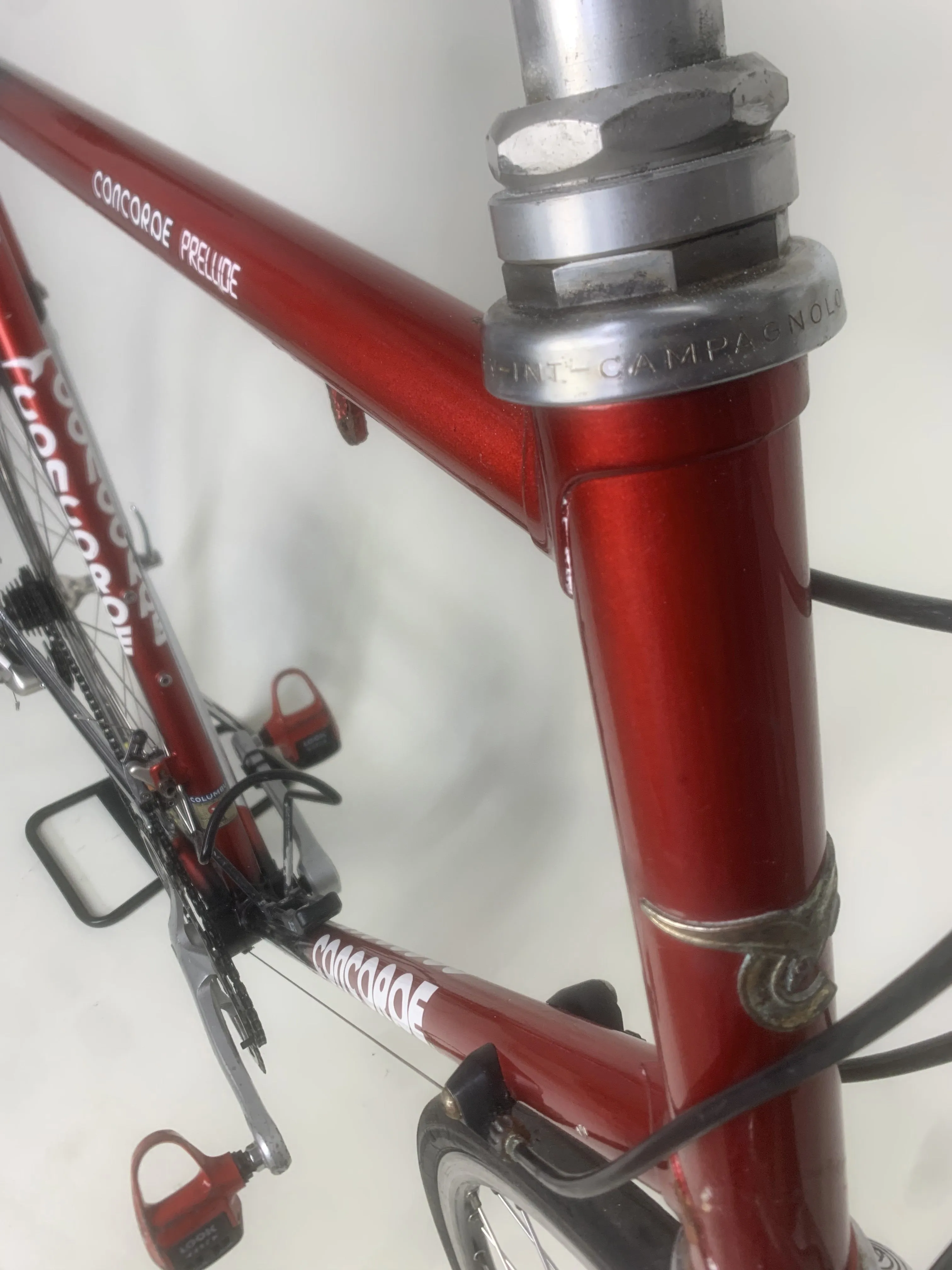 Concorde Prelude Columbus SL 63cm