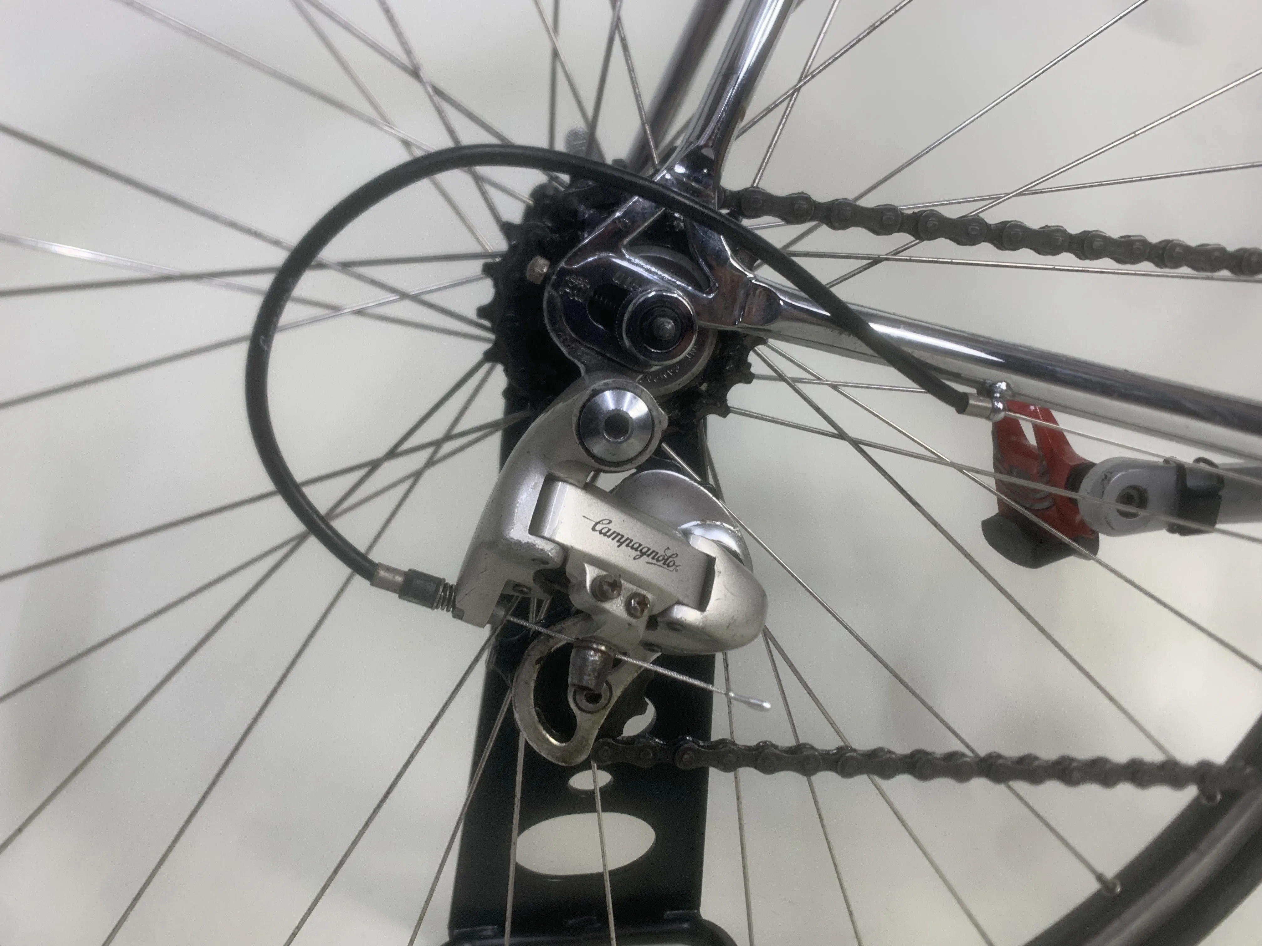 Concorde Prelude Columbus SL 63cm