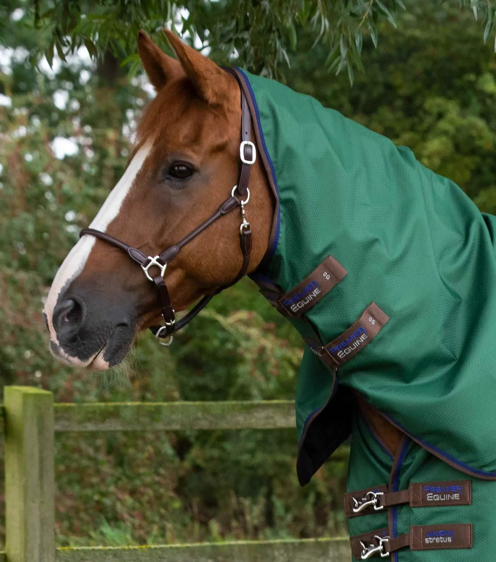Premier Equine Akoni 0g Turnout Rug With Classic Neck Cover