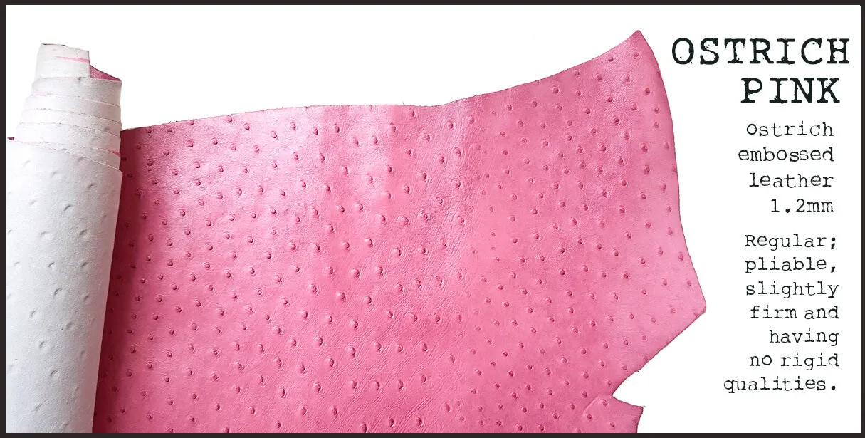 R.atelier Personal TN Folio | Ostrich Pink