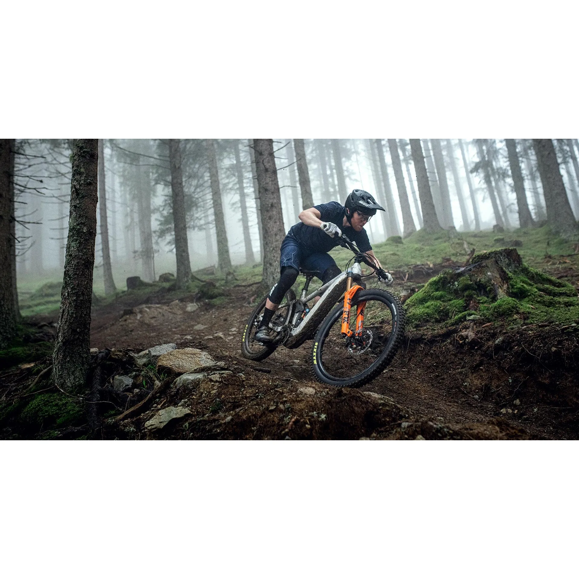 Reign E  2 Electric Mountain Bike (2023)