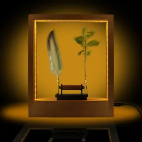 Slow Frame LED Optical Illusion Sculpture Slow Motion Picture Frame Time Frame LED Light Night Decor