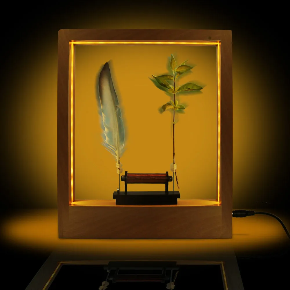 Slow Frame LED Optical Illusion Sculpture Slow Motion Picture Frame Time Frame LED Light Night Decor