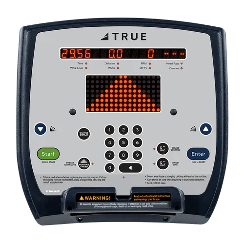 True Fitness ES900 Upright Bike