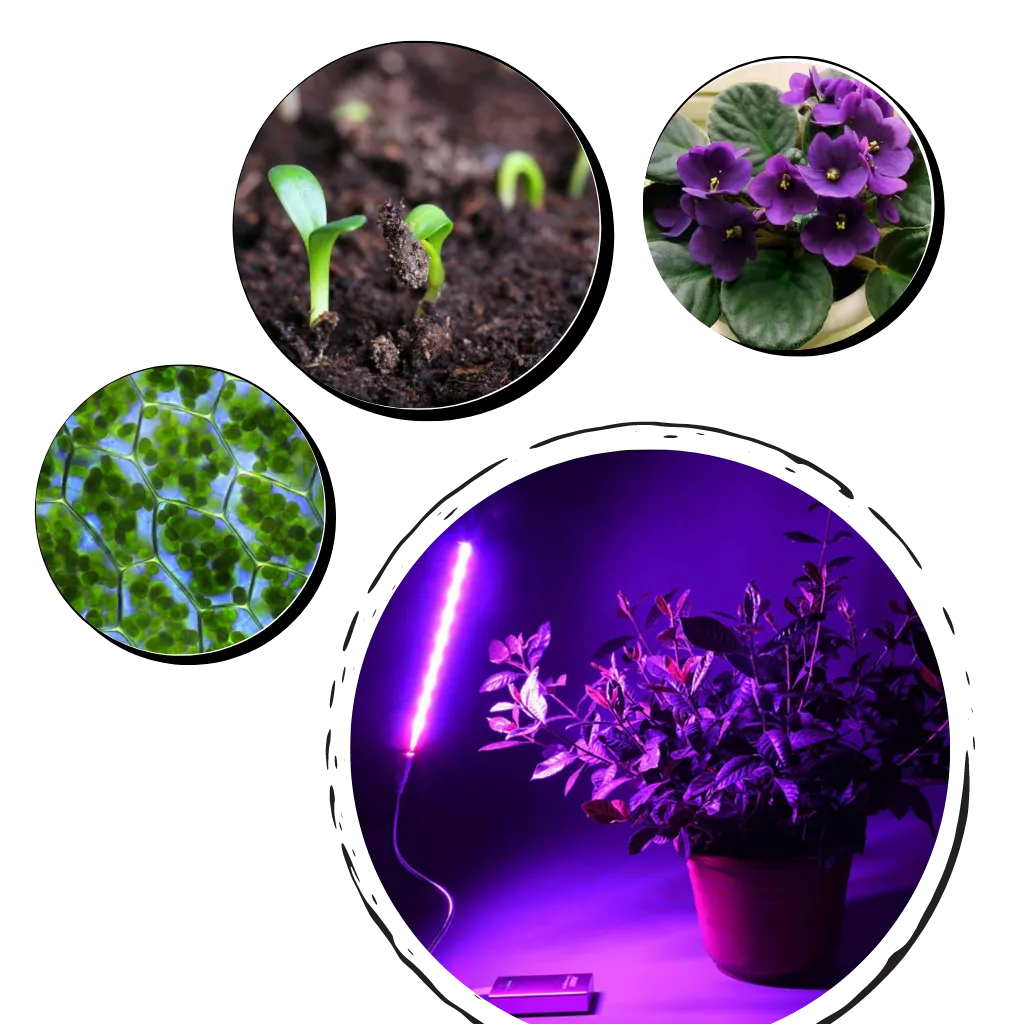 USB plant growth LED lamp