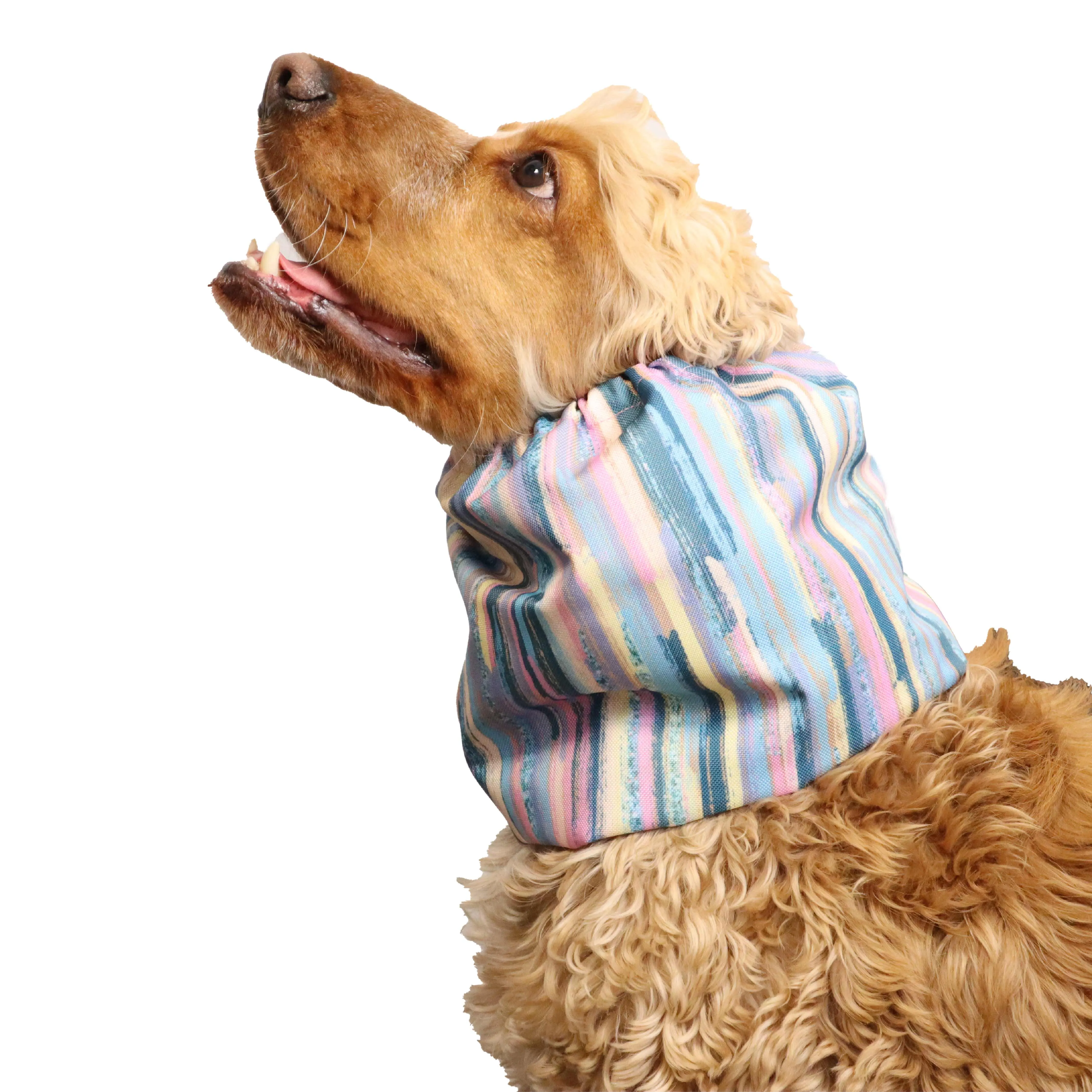 Waterproof  Dog Snood | Colourful Strips