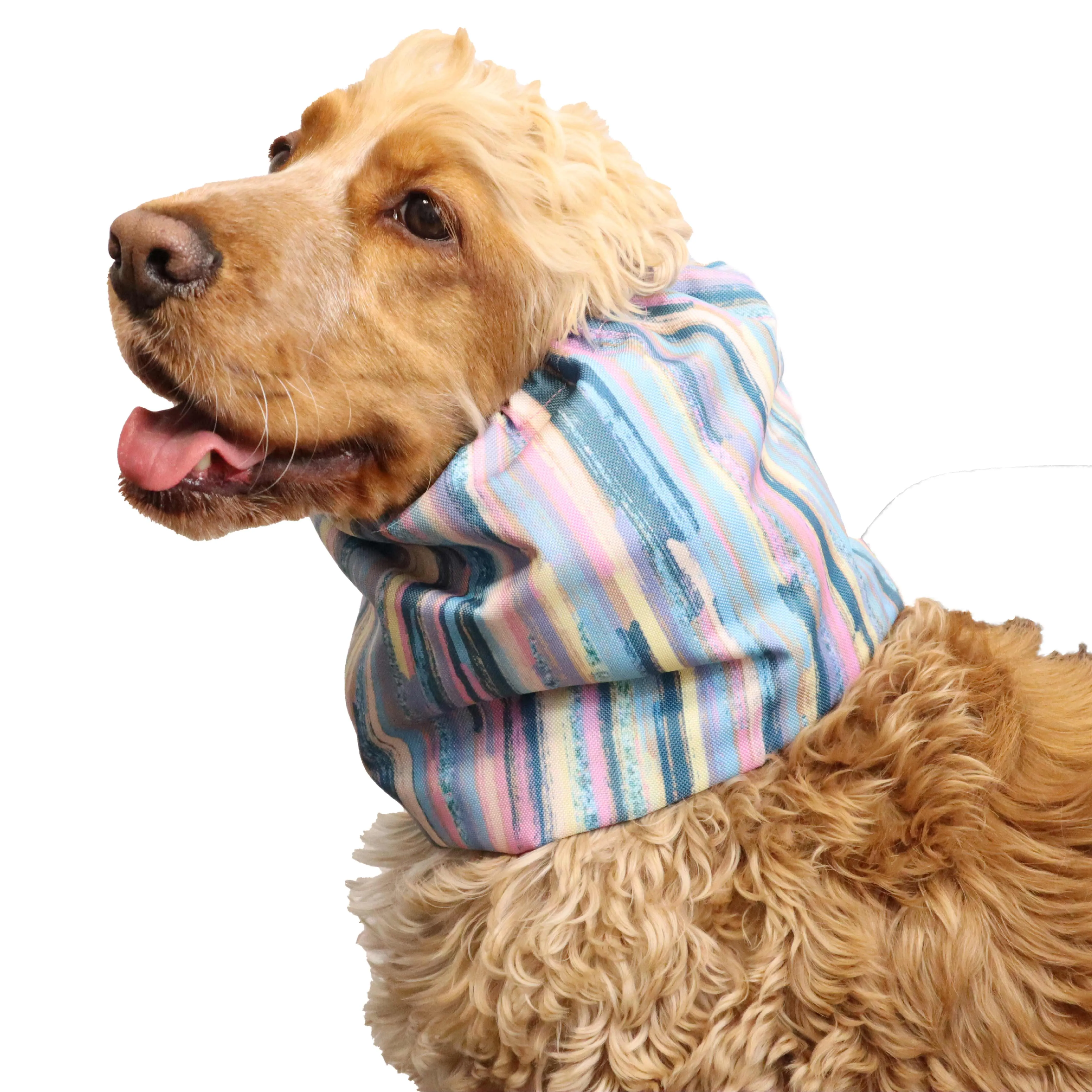 Waterproof  Dog Snood | Colourful Strips