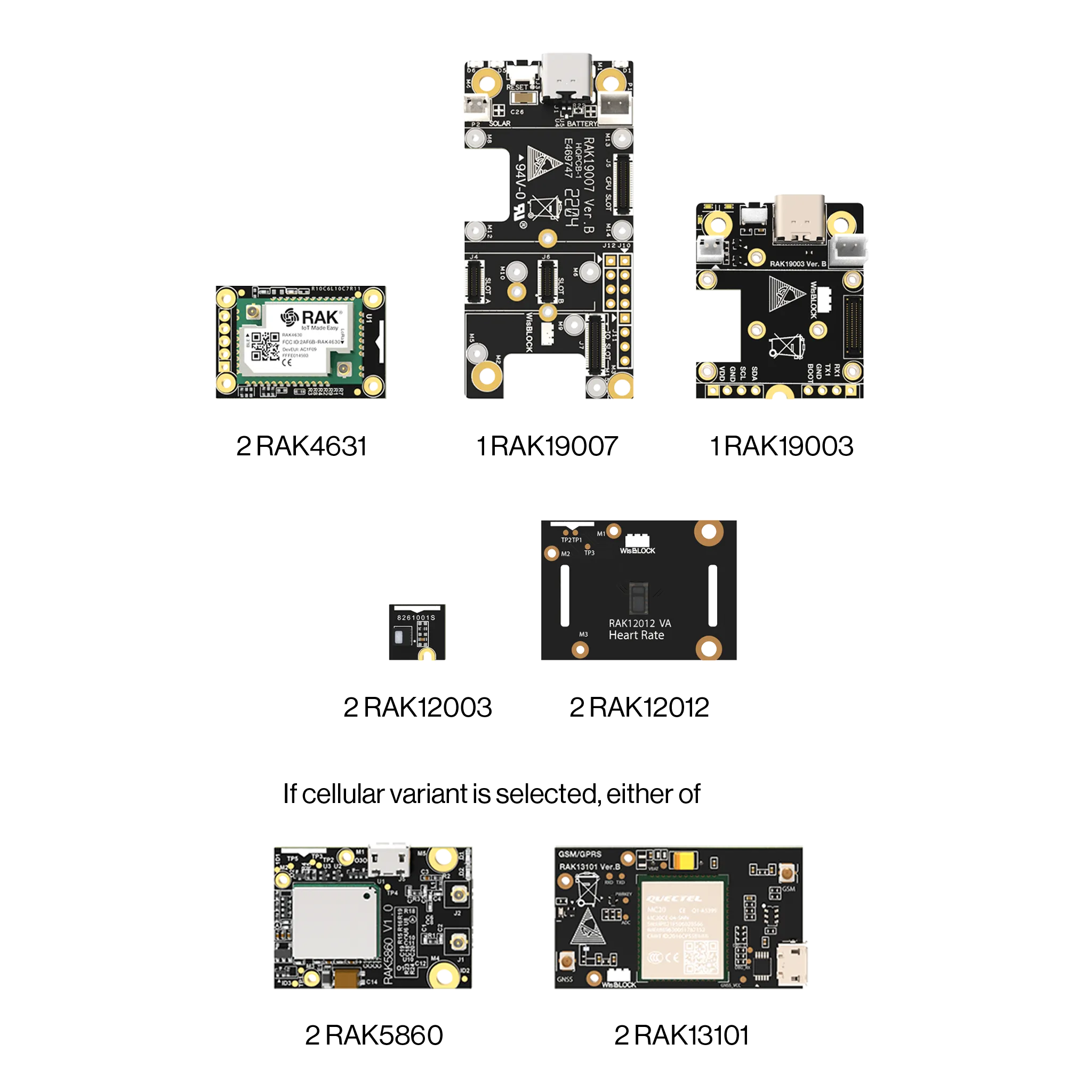 WisBlock Biometric Monitoring Kit | IoT Development Kit